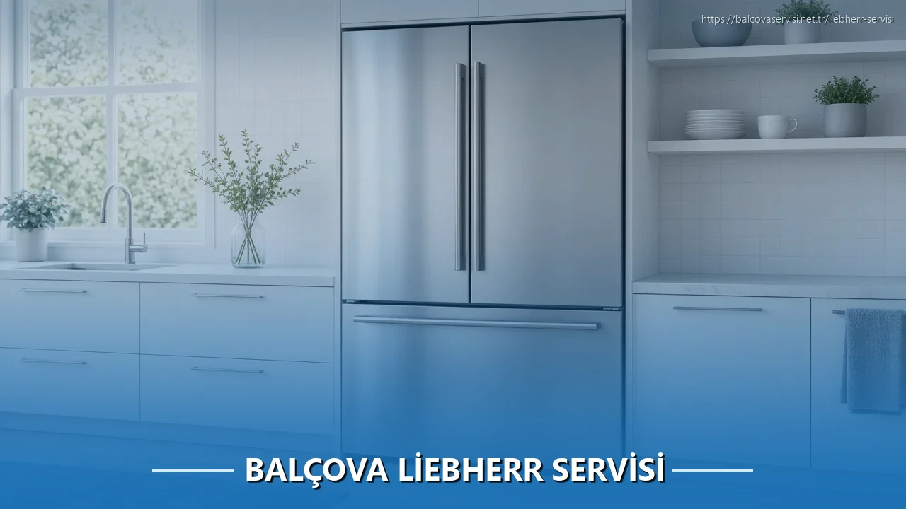 Balçova Liebherr Servisi